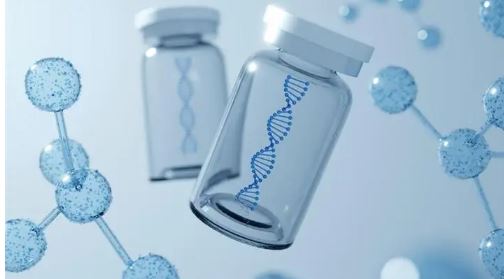 合成生物翻译
