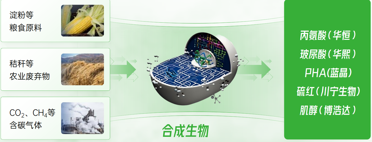 合成.PNG